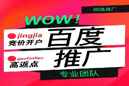 百度推广公司案例研究：揭秘企业快速崛起的秘密